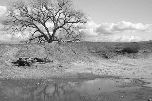 Photo by Matt Floreen