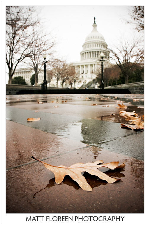 dc-007.jpg