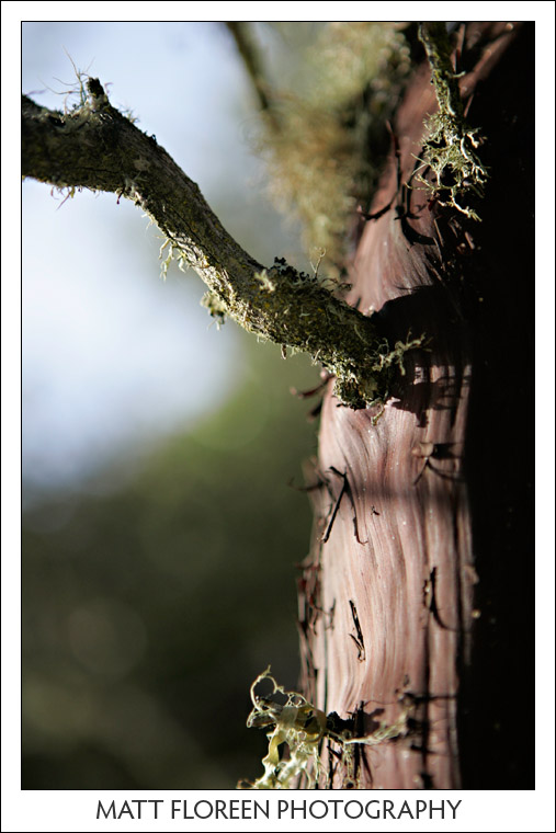 montana-de-oro-112.jpg