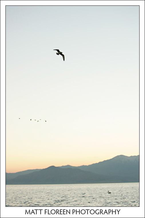 20081220-0051-salton-sea.jpg