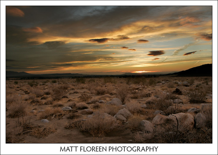 20081222-0278-anza-borrego.jpg