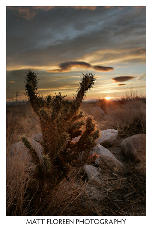 20081222-0280-anza-borrego.jpg