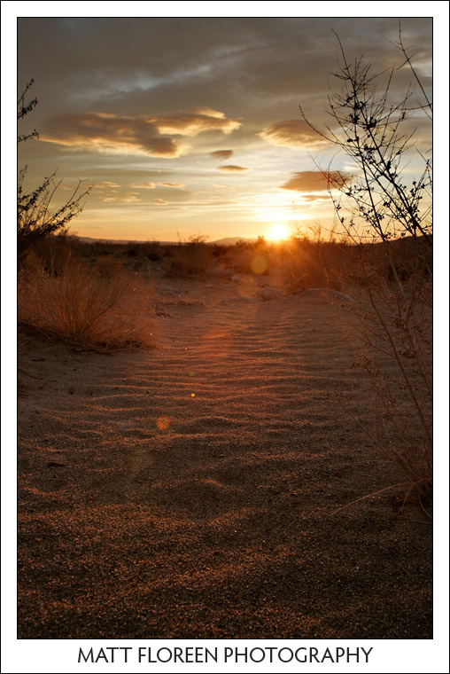 20081222-0283-anza-borrego.jpg