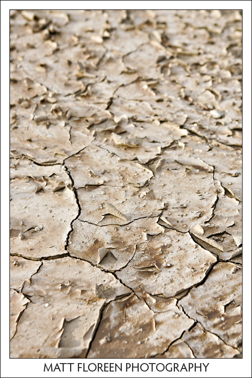 20081222-0393-anza-borrego.jpg