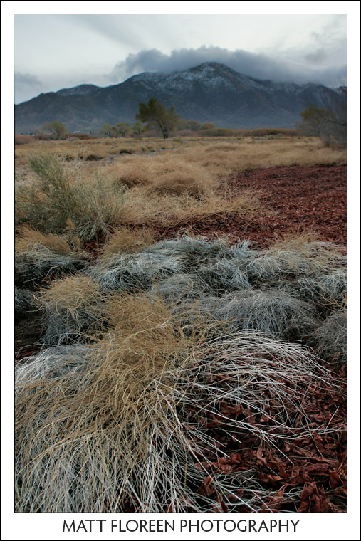 20081222-0465-anza-borrego.jpg